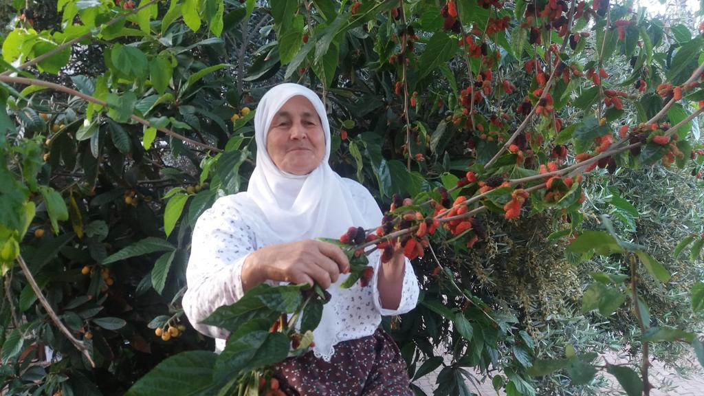Likya Pansiyon Kaleucagiz Luaran gambar
